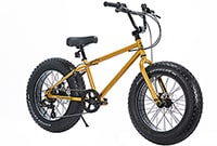 BRONX FATBIKE 20DD / Gold x Black