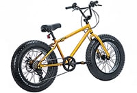 BRONX FATBIKE 20DD / Gold x Black