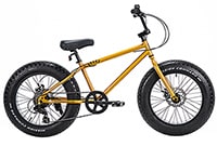 BRONX FATBIKE 20DD / Gold x Black